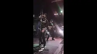 Peephole performing 'Cigaro' live with Daron Malakian