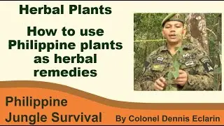 Philippine plants as herbal remedies,  as taught by Special Forces instructor (Jungle Survival)