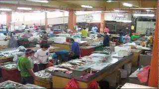 Seremban NS  Malaysia.