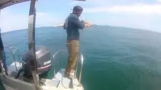 Barracuda strike....#ultralightfishing #pulausembilan