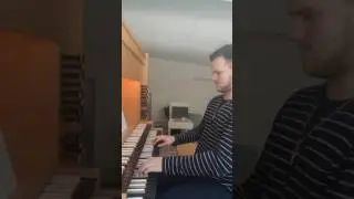 He lives in you (The Lion king 2) Organ