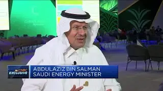 'The cohesion of OPEC+ should not be challenged' Saudi energy minister says
