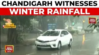 Mid-Winter Rain Begins In Chandigarh As Temperature Dips And Cold Grips Punjab | India Today