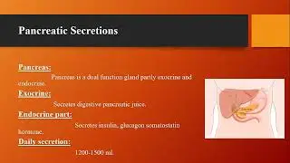 Saliva, Gastric Juice, Pancreatic juice, Liver, Gall bladder, Small and intestine large intestine