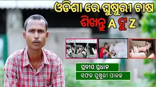 Pig Farming 🐖। ଓଡ଼ିଶାରେ ଘୁଷୁରୀ ଫାର୍ମ। Pig Farming A to Z। #pig farming #odisha 