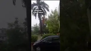 Rain in Lahore #walkingdiaryy