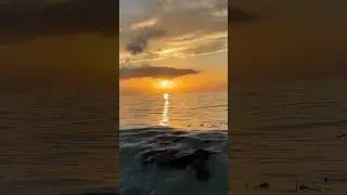 Sunrise in Playa del Carmen #sun #goldenhour
