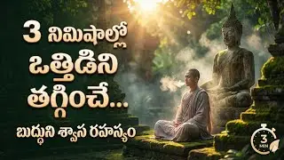 ఈ 3 నిమిషాల రహస్యం మీ జీవితాన్నే మార్చేస్తుంది! | బుద్ధుని జెన్ శ్వాస ప్రక్రియ | venkatesh channel 