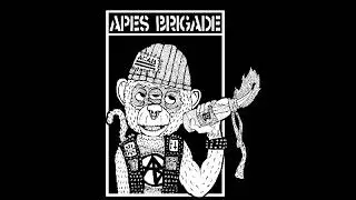 Apes Brigade - Power is evil! [2018 Post Punk Hardcore]
