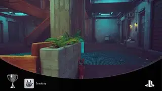 Sneakitty | Trophy 🏆 Guide | Stray