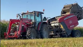 Prasowanie Słomy || Massey Ferguson 5710 M & Massey Ferguson RB 4160V 