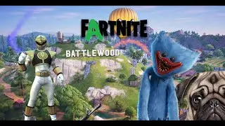Some fortnite