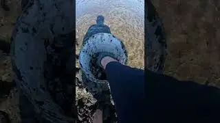 Digging Steamer Clams in New England