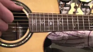 Paul Reed Smith Angelus Cutaway