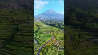 #MountAgung #Bali #IndonesiaNature #TerracedRiceFields #BalineseLandscape #ScenicBali #VolcanoViews