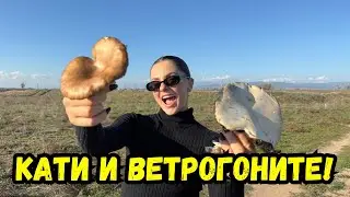 #Ветрогон и #емоции с #Мис Янатарко Тийм