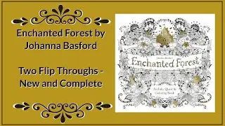 Enchanted Forest by Johanna Basford - New and Completed Book Flip Through
