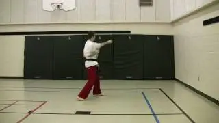 Highland Wado-Kai - Pinan Yodan Front
