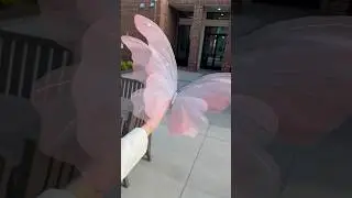 DIY Giant Silk Butterfly full tutorial on my channel