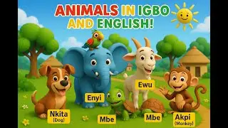Animals in Igbo and English. Fun and Easy....  #kids #teen #animation #igbo #animals #fun #foryou