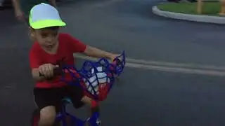IMG 3393