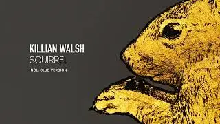 Killian Walsh -  Squirrel  (Original Mix)