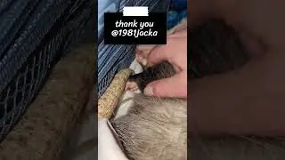 Thanks You For Leaving Your Comments! Time to  Say Thanks 