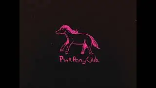 Pink Pony Club - (Chappell Roan) Acoustic Cover by TCBABN