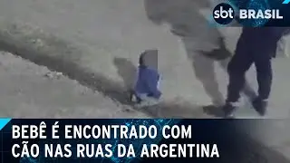 Rec&eacute;m-nascido &ldquo;foge&rdquo; de casa com cachorro de estima&ccedil;&atilde;o na Argentina | SBT Brasil (14/05/24)