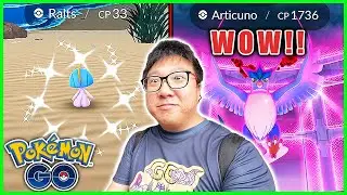 Ralts Community Day Classic With My Highest IV Dynamax Articuno Caught! - Pokemon GO