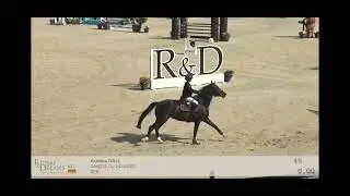 Dakota du Houlbec CSI2** Samorin 10th place