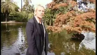 Matthias Reim träumer