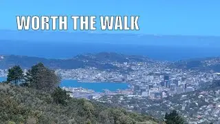 From the City to the Clouds | Mount Kaukau, Wellington NZ