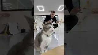 #Tricking