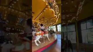 Classic attraction!  #amusementpark #horses #spinning #animals #ride #rides
