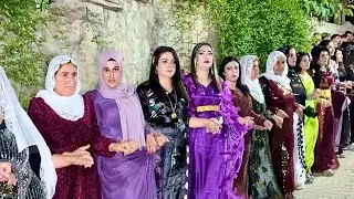 İbrahim Acet Düğünü Part.2 | Müzik Hozan Emin Silopi | 4K