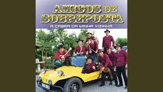 Ó Meu Santo António