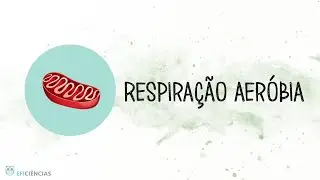 Respiração aeróbia - Biologia e Geologia 10ºano