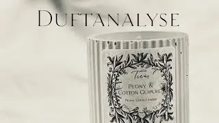 Duftanalyse zu &bdquo;Gentlemen&lsquo;s Club & Oud&ldquo; und &bdquo;Tobacco & Cr&egrave;me Ambr&eacute;e&ldquo;