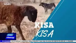 #CANLI AGRO TV İle GÜNAYDIN