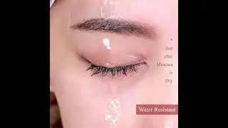 Curl Defined Lashes in 1 minute