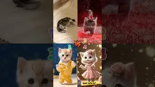 Meow 😻 #cute #cat #animals #catlover #miawmiaw #soundsad #love #homecomedy #catsong #cat #cute