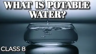 What is Potable Water? Characteristics and how we make drinking water safe? Class 8 science