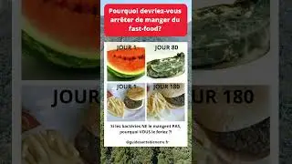 Pourquoi devriez-vous arr&ecirc;ter de manger du fast-food?