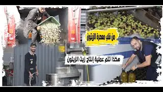 من قلب معصرة الزيتون ببوعرك .. هكذا تتم عملية إنتاج زيت الزيتون