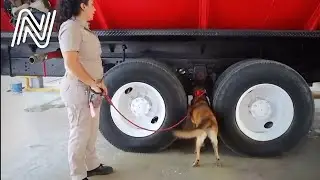 Tlaquepaque mantiene operativo para detectar y decomisar pirotecnia en tianguis | Jalisco Noticias