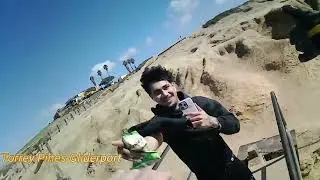 FLYING ABOVE THE CLIFFS OF TORREY PINES (north of San Diego)