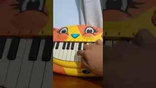 B. Cat Piano/Meowsic Keyboard Flea market finds
