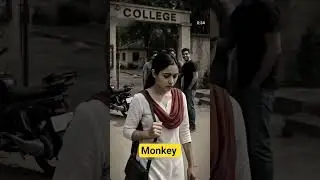 Monkey Save Girl ❣️
