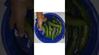 how to Sanitize Your Vegetables     #cleaningsolutions  #housekeeping #autoclean